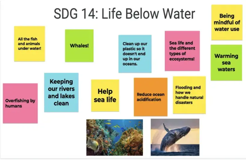 SDG 14 Life Below Water student project